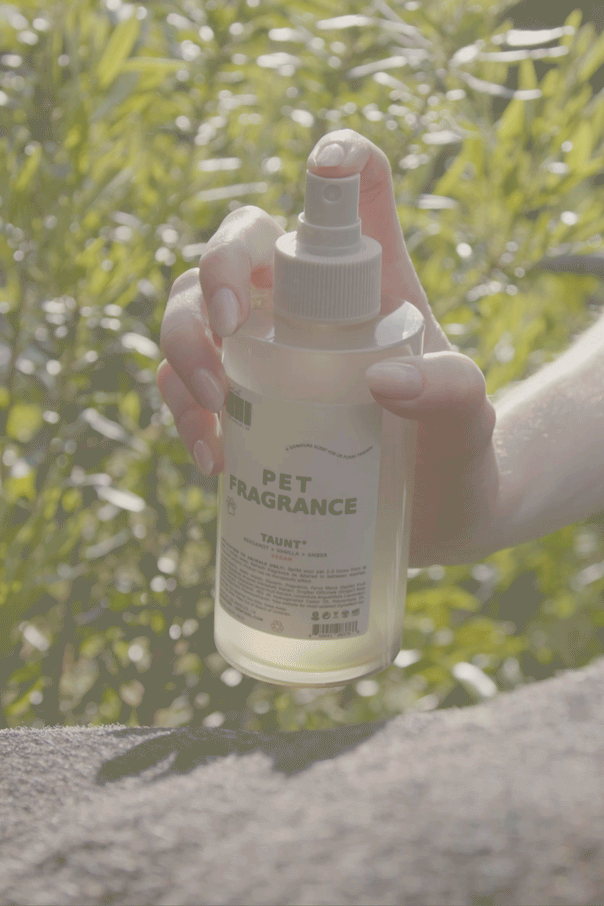 Taunt Pet Fragrance - DedCool