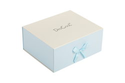 Large Gift Box 2025