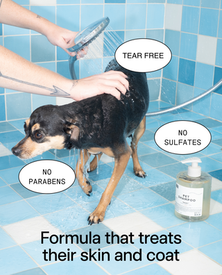 Mini Pet Shampoo Taunt