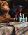 Mini Pet Bundle