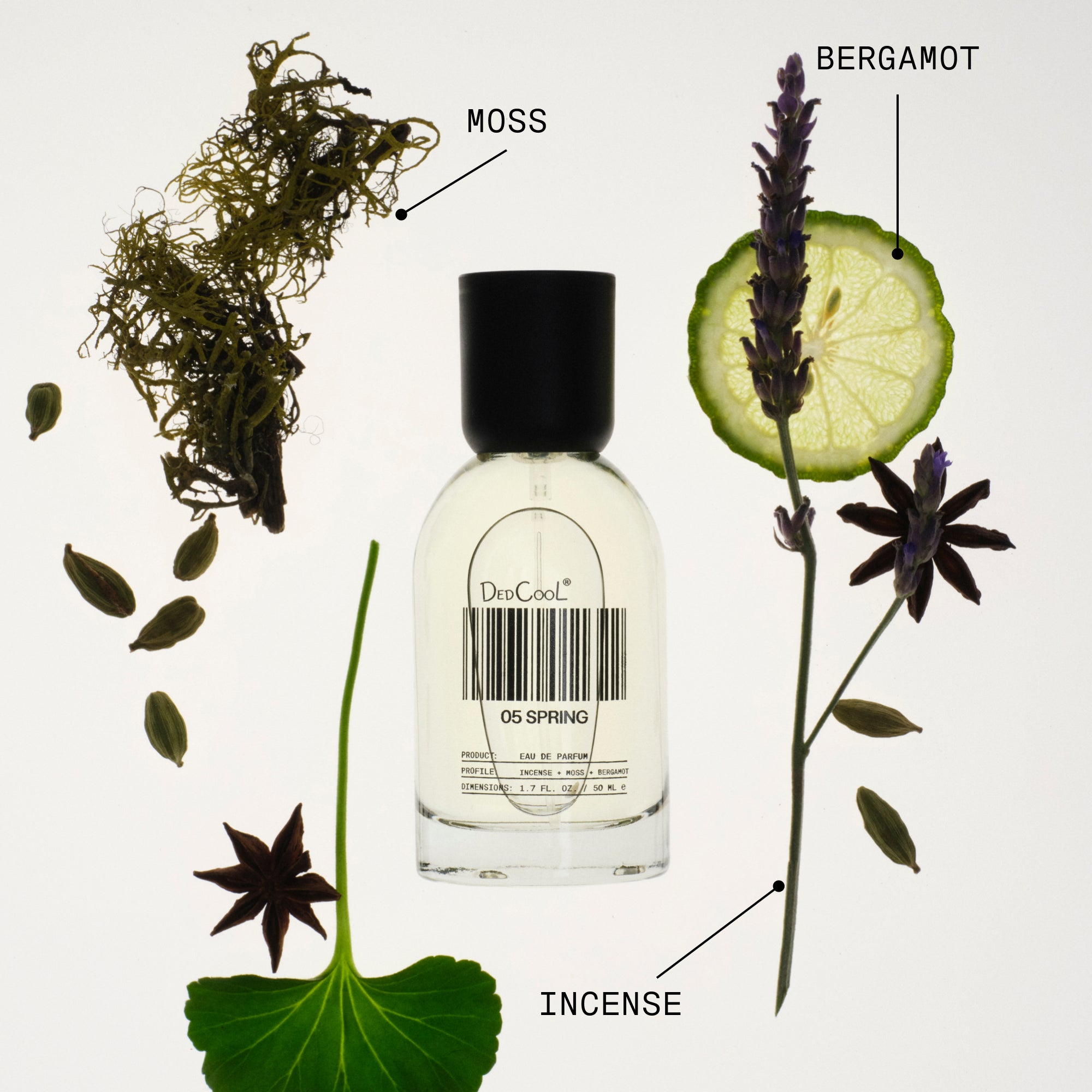 DedCool Fragrance 05 